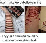 Your pallette vs mine. Edgy self harm meme, very offensive, value rising fast