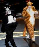 James Corden and Rebel Wilson dressed as Bustopher Jones and Jennyanydots the Gumbie Cat at the Oscars, image © Chris Pizzello/Invasion/AP via Daily Mail article
